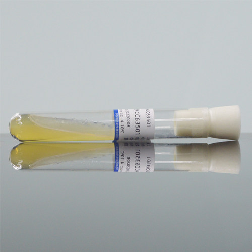 枯草芽孢杆菌ATCC6633二代三代斜面试管甘油菌营养琼脂培养基活化
