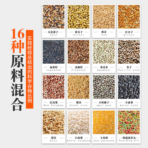 鹦鹉粮16合1玄凤横斑太平洋中小型鹦鹉粮鸟食鹦鹉饲料鸽粮5斤包邮