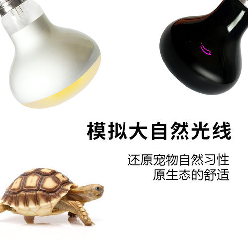 芦丁鸡保温灯加热灯龟箱加温灯泡 鹦鹉保温灯UVA日灯月光夜灯
