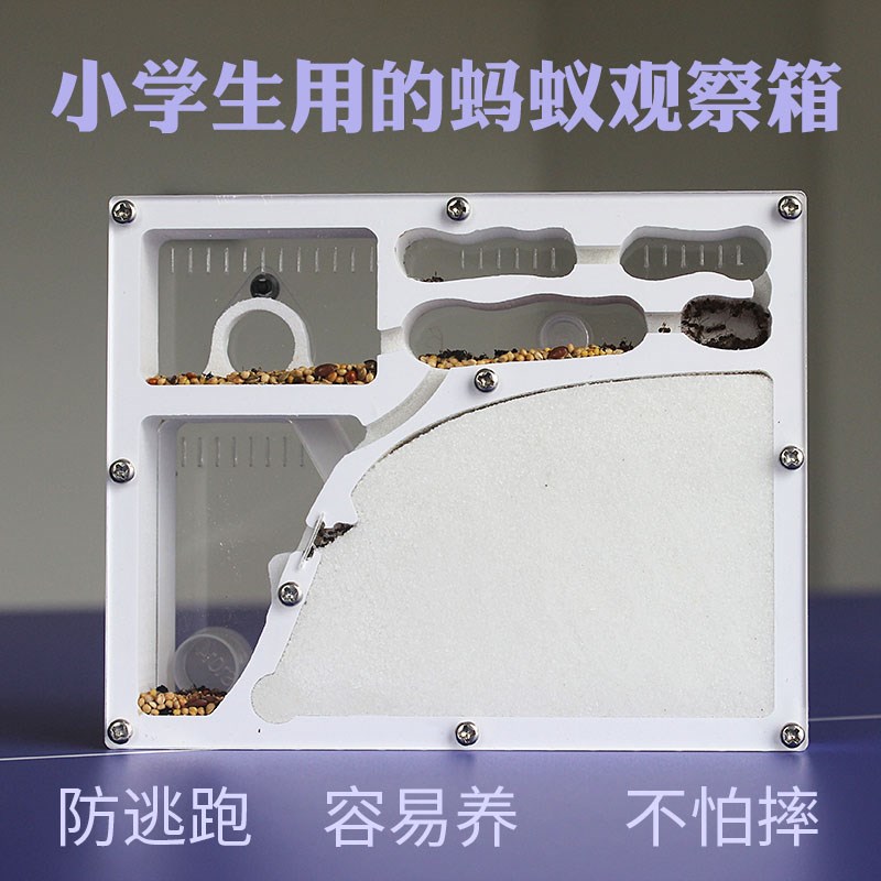 蚂蚁城堡蚂蚁工坊家园蚁后世界小屋沙场巢蚂蚁生态箱桌面蚂蚁宠物