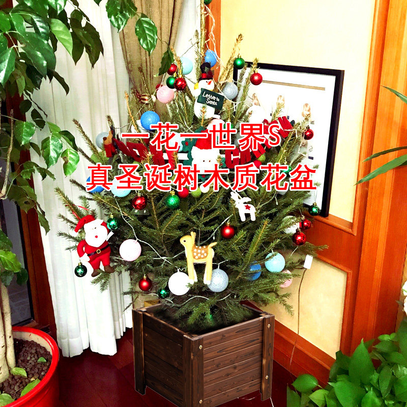 真圣诞树云杉树实木花箱阳台室内花箱户外庭院种植花盆长方形花槽