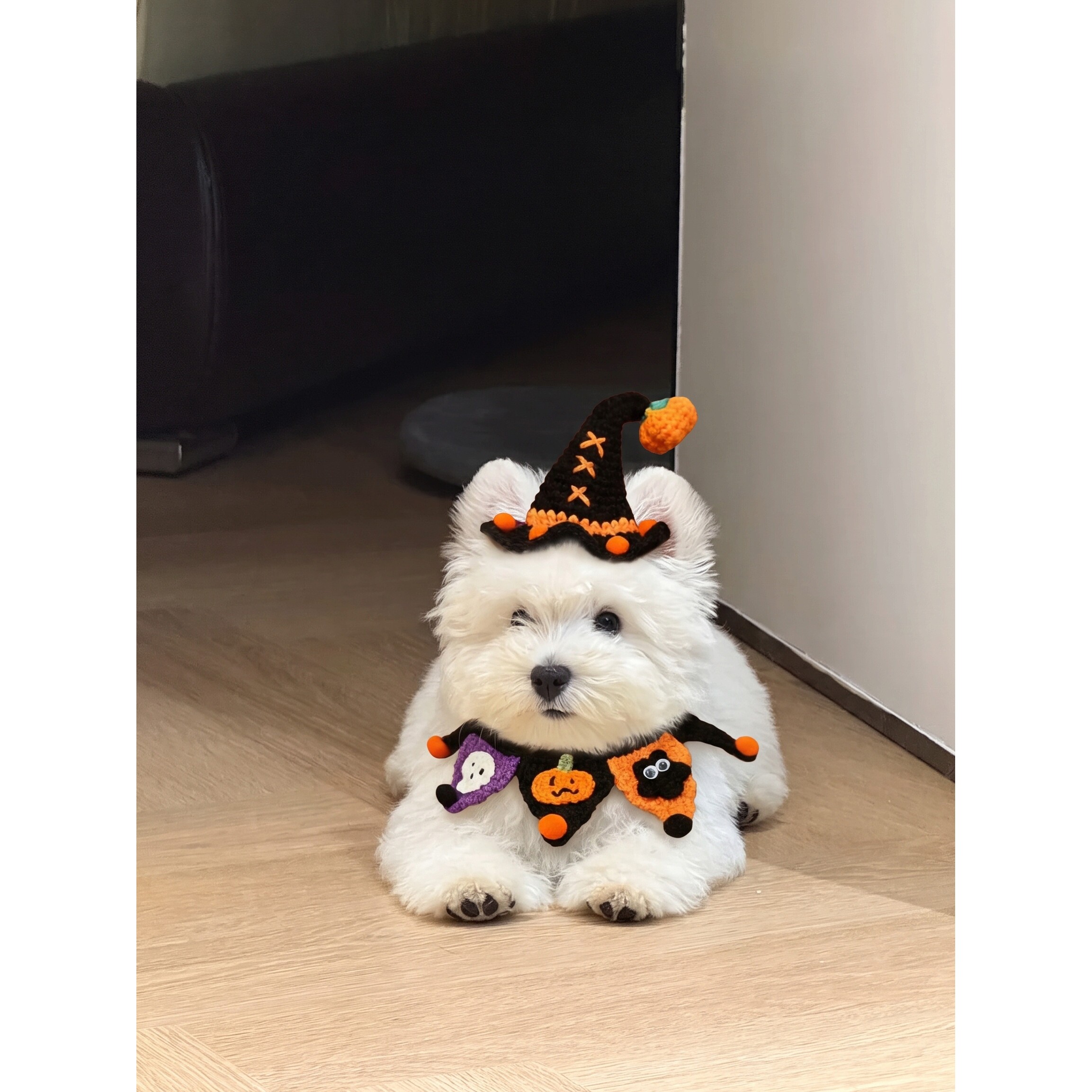 狗狗衣服万圣节装扮宠物口水巾猫咪围兜配饰拍照道具装饰品搞怪