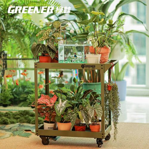 GREENER小推车花架客厅落地式铁艺置物架多肉植T物多层阳台花架子
