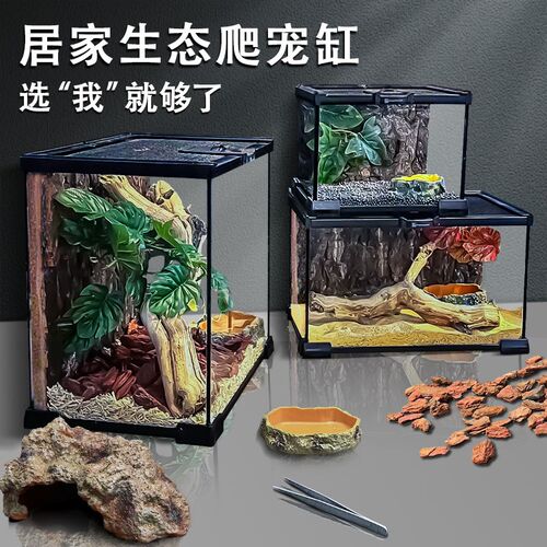 BG爬宠饲养箱雨林造景生态缸守宫蜥蜴陆龟角蛙蜘蛛爬虫养蛇玻璃缸