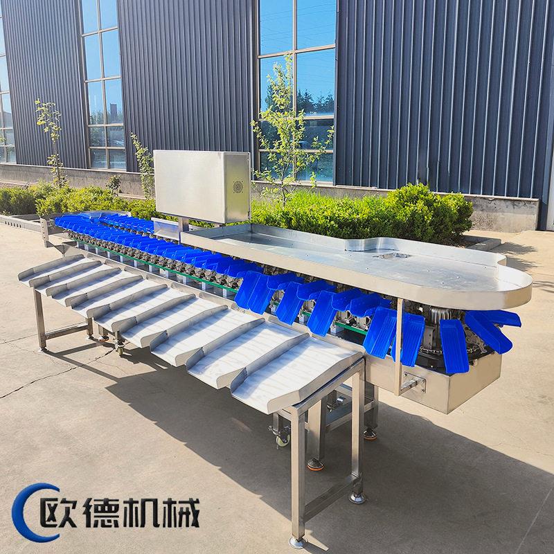 柠檬百香果分级设备工厂自动化水果分选机蓝莓智能称重分选机