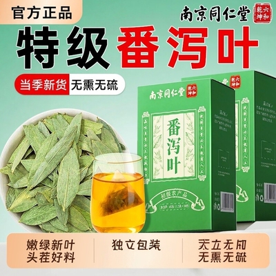 正品仁南同京番茶番叶官方堂天保泻证然泻正品肥叶包