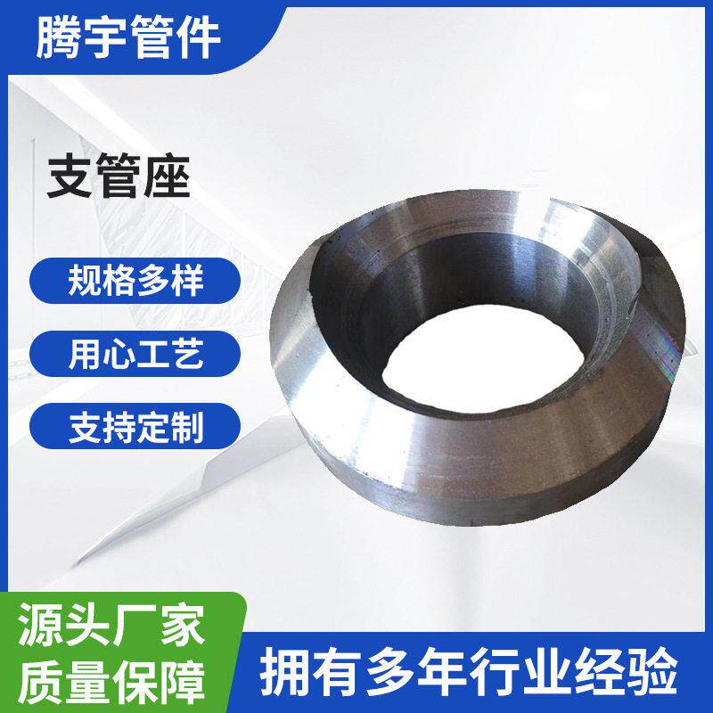 锻制对焊支管台SOLBWCL3000GB/T19326支管座S30408/06Cr19N10