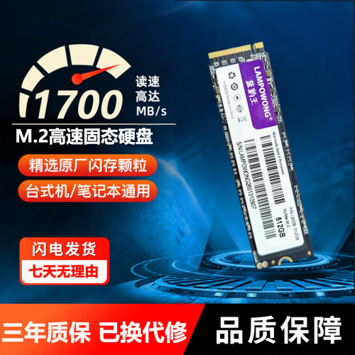蓝豹王SSD固态硬盘PCie3.0笔记本电脑台式机M.2接口256g512g1tb