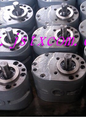YH01-70X25/YH01-100X25型齿轮油泵/油泵/WTO1平面磨床齿轮油泵