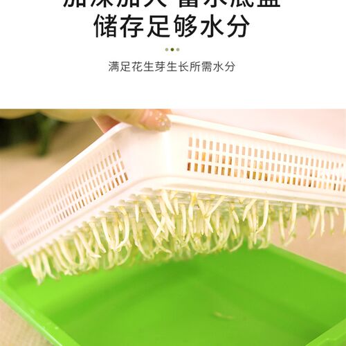 花生芽种植盒发芽神器水培箱芽苗菜盘子专用无土栽培豆芽机育苗盆
