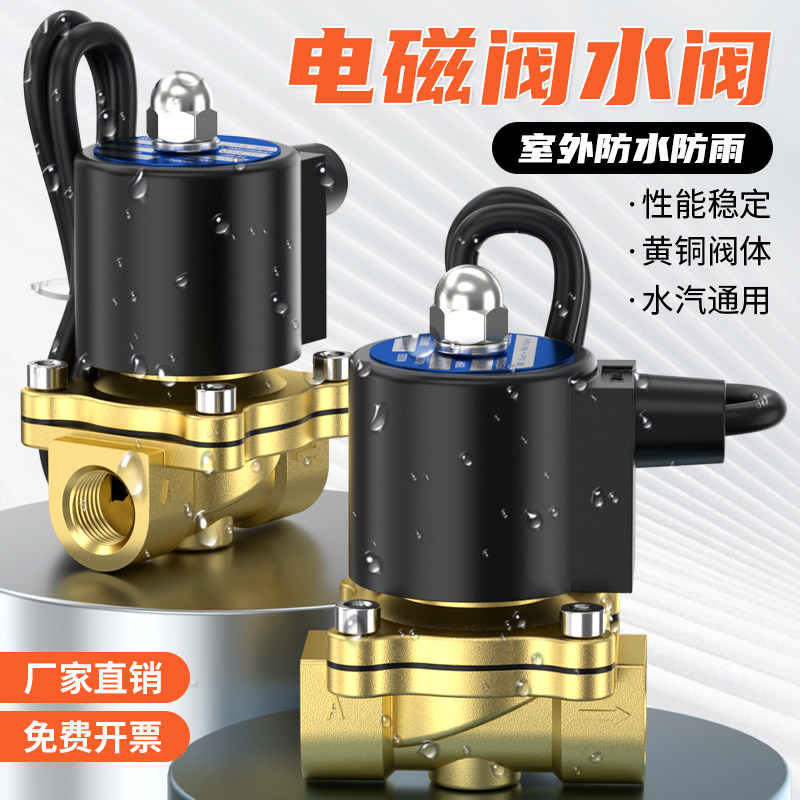 常闭电磁阀2W室外防水控制阀2/3/4/6分1寸2寸淋水阀AC220V/DC24V