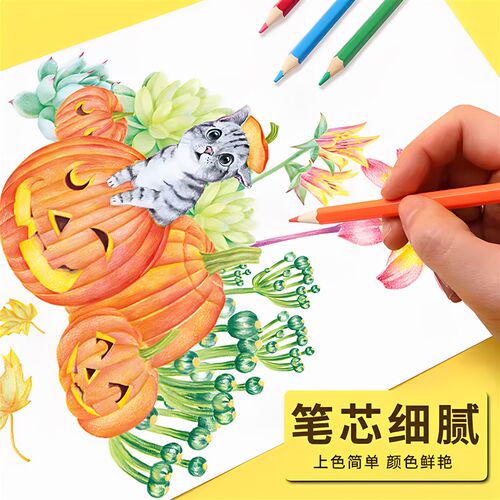 72色彩铅美术生专用儿童小学生彩色铅笔水溶性彩铅笔绘画专用套装