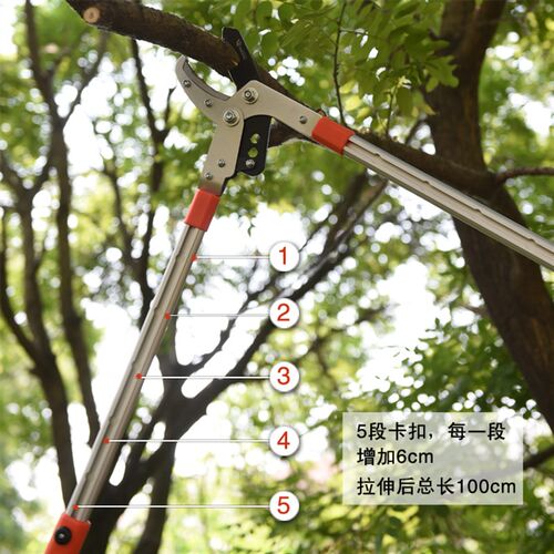 粗枝剪伸缩大力剪 修枝剪 园林工具园艺剪刀剪果修树枝刀高枝剪