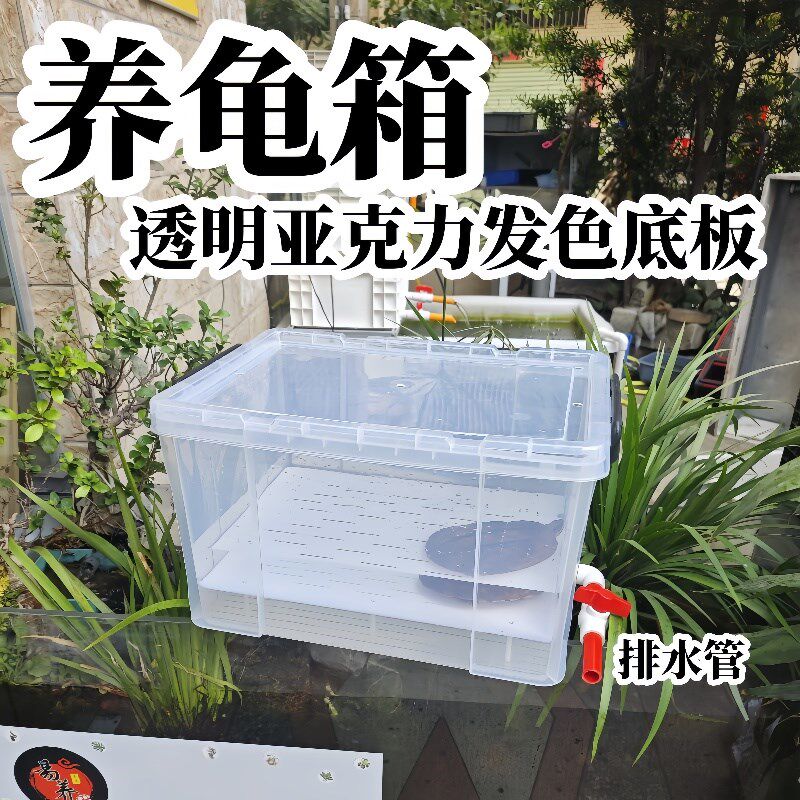 养龟箱透明养龟缸乌龟发色箱亚克力底板溪流缸带盖带排水透明鱼缸