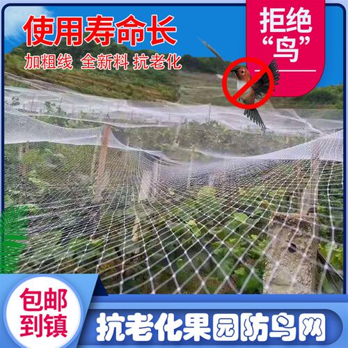 农用抗老化防鸟网葡萄樱桃果树园耐用菜地稻谷鱼塘养殖尼龙线用网
