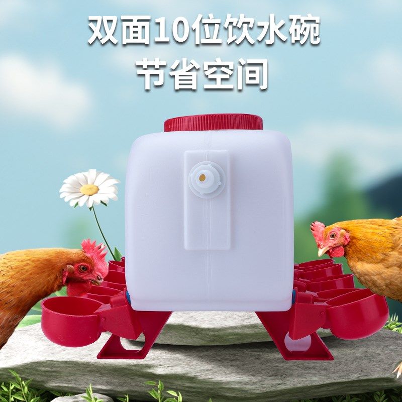 鸡用自动饮水器家禽饮水碗自动喂水器小雏鸡鸽子鹌鹑喝水碗水桶壶