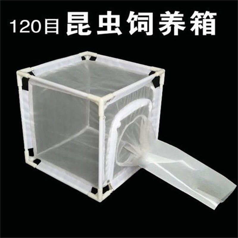 拆卸式昆虫饲养笼养蚊笼养蝇笼养虫笼防虫网养虫箱可定制