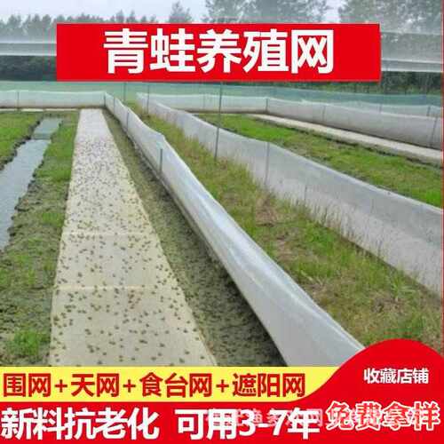特厚青蛙养殖网蟾蜍围网防逃网食台网牛蛙水蛭孵化布专用天网包邮