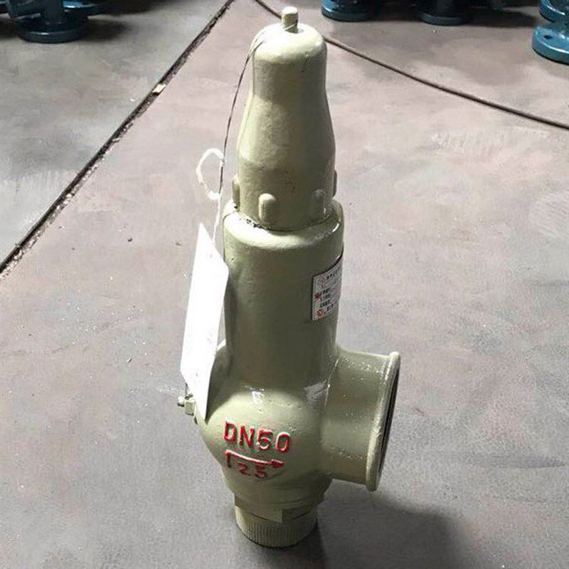 A22W-40C/P全启式铸钢/不锈钢/氧气安全阀DA22W-40P低温安全阀