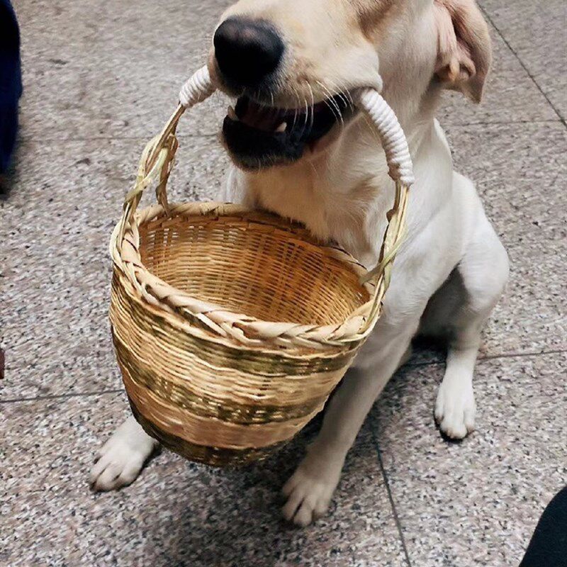 狗咬篮子金毛大型狗狗叼的篮子竹编宠物狗篮子拉布拉多训狗用品