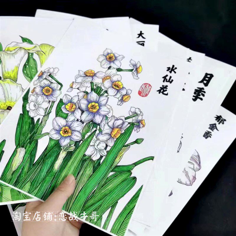 画室推荐【新款】幼儿彩色麦克笔植物花卉写生线描画美术临摹卡A4