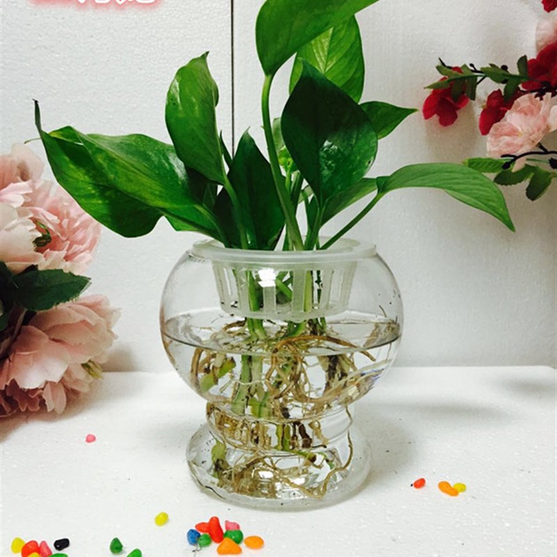 水培简约透明玻璃花瓶绿萝铜钱草创意欧式鱼缸家居饰品花盆包邮
