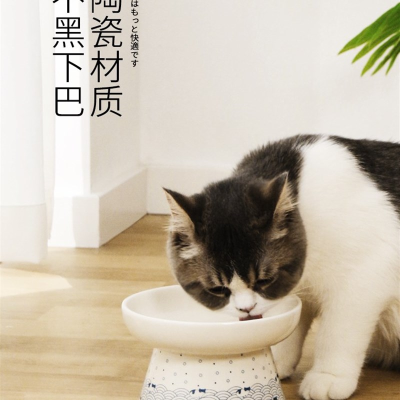 猫碗陶瓷猫食盆高脚猫咪饭碗水碗防打翻斜口猫碗慢食盆狗碗狗食盆