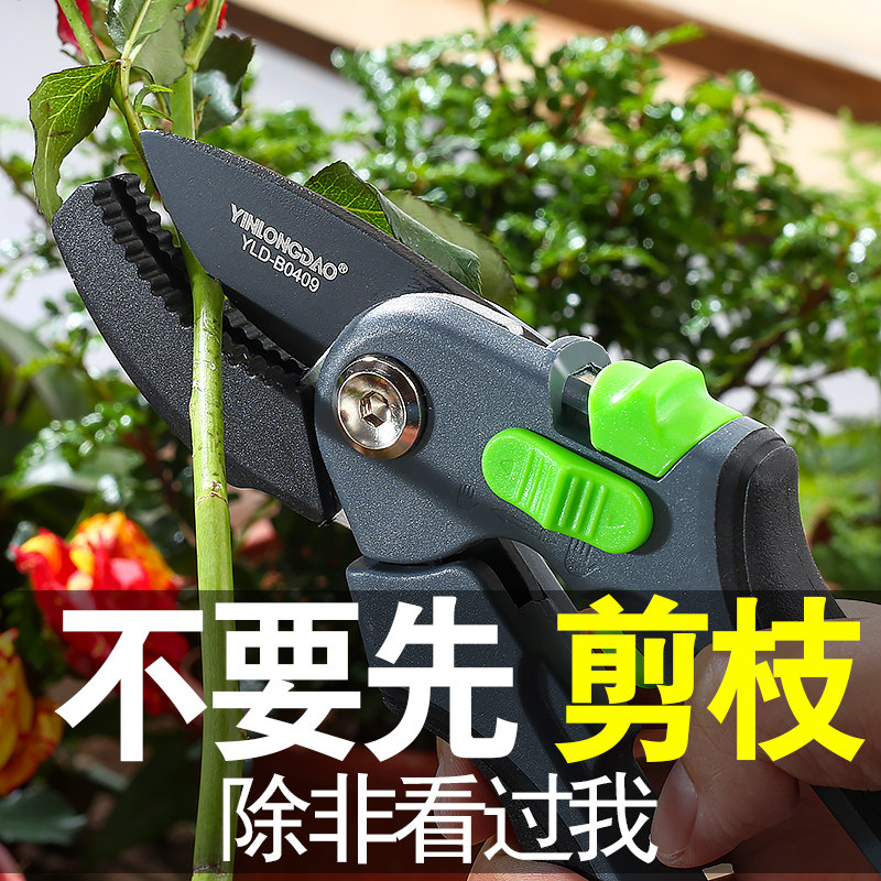 果树剪树枝花木剪修枝剪刀剪枝神器修剪花卉花剪园艺树木家用工具