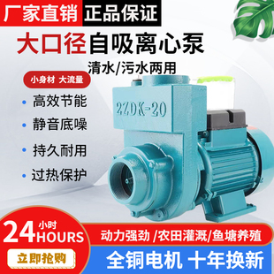 农用清污两用自吸泵l220V大流量清水泵抽水机家用化粪池排污离心