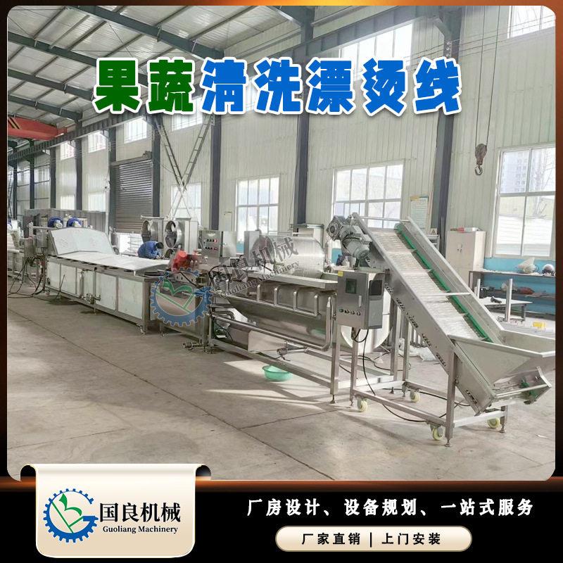 蒲公英涡流清洗机山野菜清洗生产线荠菜清洗漂烫冷却流水线