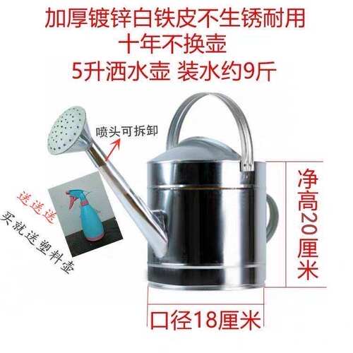 洒水壶大容量家用浇花壶农用浇菜壶E镀锌白铁皮加水壶长嘴加油壶