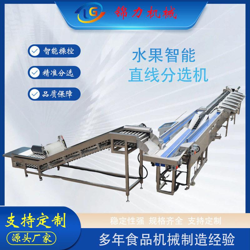 水果智能重量分选机柑橘橙子智能分选洋葱南瓜重量分拣