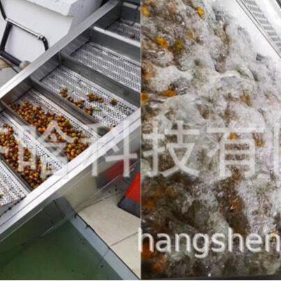 杷干设备,蓝莓干生产加线,香蕉脆片膨化机,枇猕猴桃航盛果糕工设