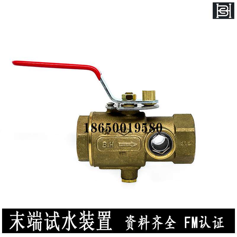 泰科DN50带视窗末端试水装置 FM认证BH-6末端试水阀 UL末端试水