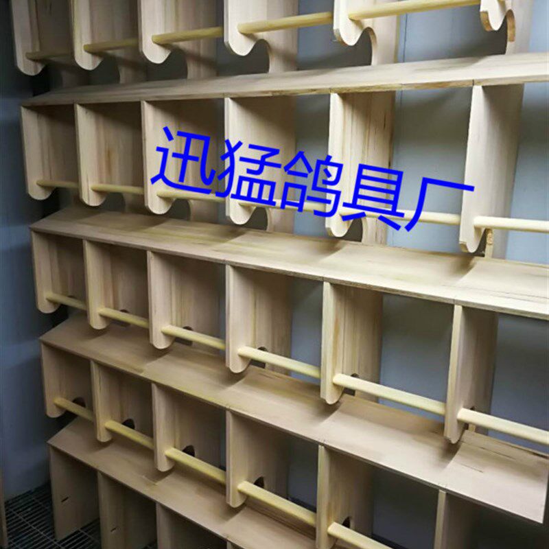 赛鸽组合栖架休息架 鸽具 巢箱 鸽子用品 站架 公棚栖架 定做站架