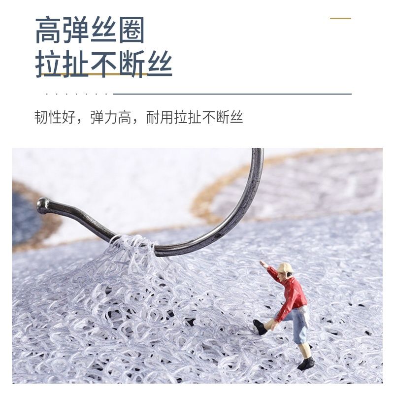 轻奢门口地垫门垫进门地毯踩脚垫客厅入户门入门家用防滑丝圈地垫