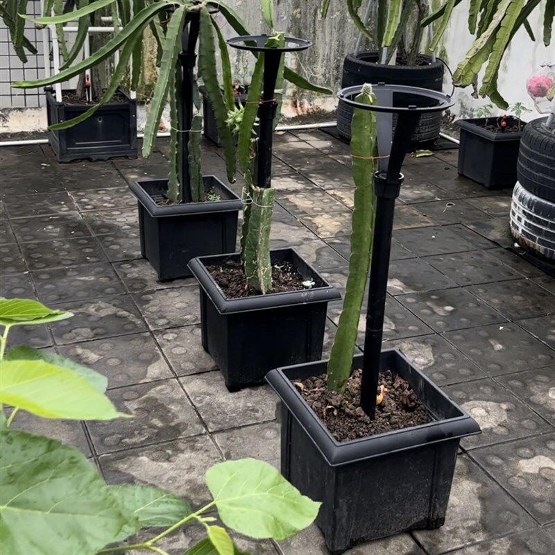 一体耐用火龙果支架盆固定架楼顶庭院蔬菜盆加深花盆加厚种菜盆子