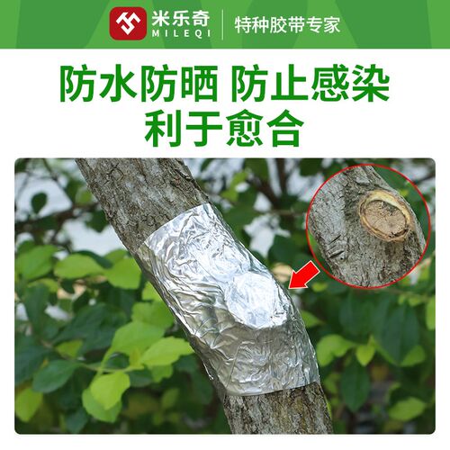 盆景树木伤口愈合锡箔纸果树嫁接膜树木嫁接锡纸保湿隔热促进树苗
