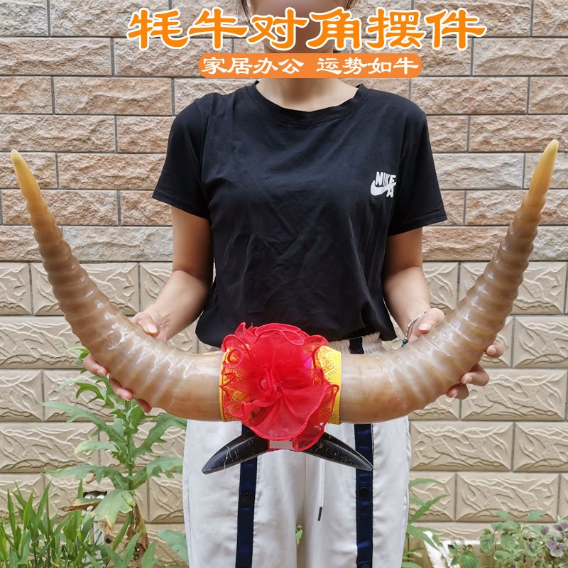 天然牦牛对角摆件客厅家居饰品办公室桌商务高档开业礼品牛气冲天