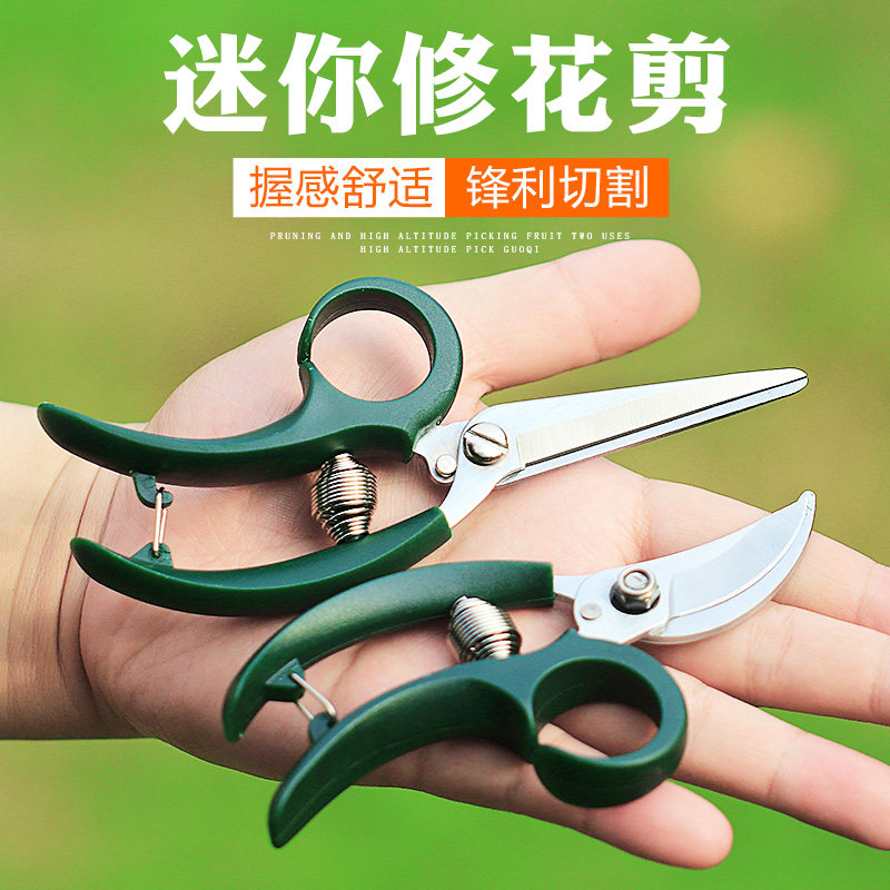史拉力家庭园艺修花小剪刀养花多肉植物枝叶修剪园林修枝剪小花剪