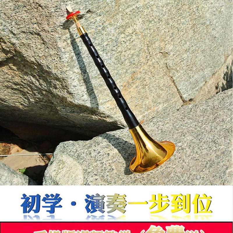 唢呐乐器全套镜面堂d调专业黑檀乌木杆红白喜事大音量降b调演奏级