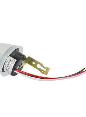 光控开关防雨AS-20自动晚上亮光智能路灯光控控制器感应开关220V