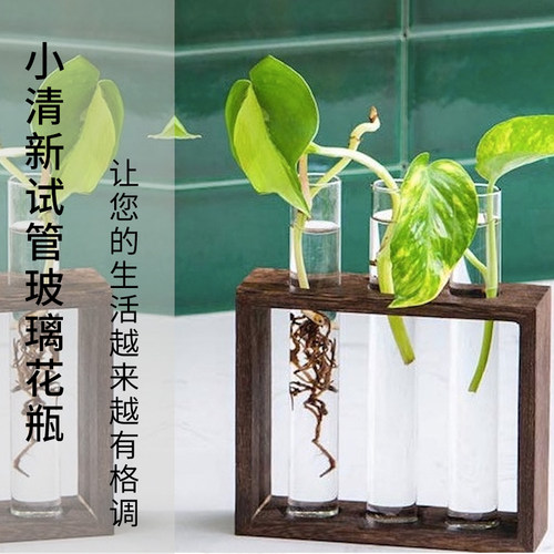 玻璃水培花瓶办公室桌面水养绿萝植物试管花瓶室内实木装饰摆件