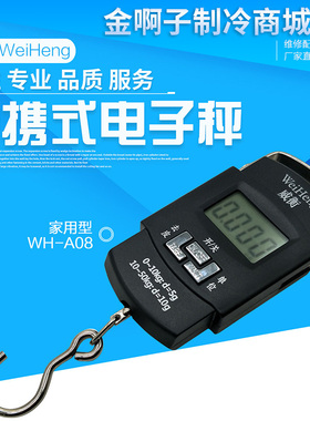 家用便携式电子秤迷你高精度手提秤手拿买菜钓鱼弹簧挂钩快递称重