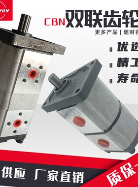 双联液压齿轮泵油泵总成CBN/T-F310/306小型高压油泵配件大全泵头