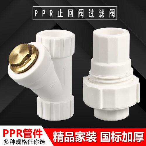 PPR过滤器止回阀塑料过滤阀 不锈钢丝网 202532 铜过滤器4/6分1寸