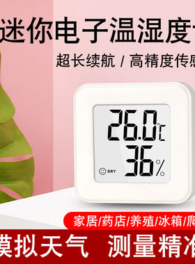 迷你温湿度计家用电子温度计干湿表高精度婴儿房车载室外冰箱宠物