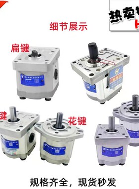 HCHC合c肥齿轮泵CBW-F304/F306/F310/F314/F316/F320-ALP/CFP/CFH