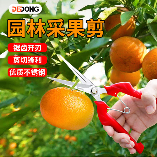 采果剪摘水果神器花剪园艺修花修枝剪稀果剪葡萄龙眼花椒采摘剪刀