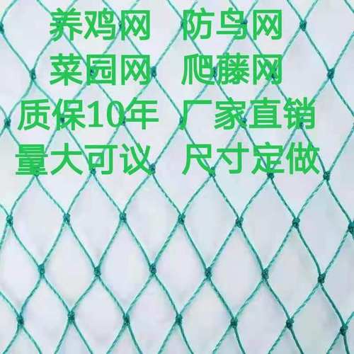 防鸟网枸杞樱桃网葡萄果树果园防鸟天网泥鳅鱼塘防护尼龙网栅栏